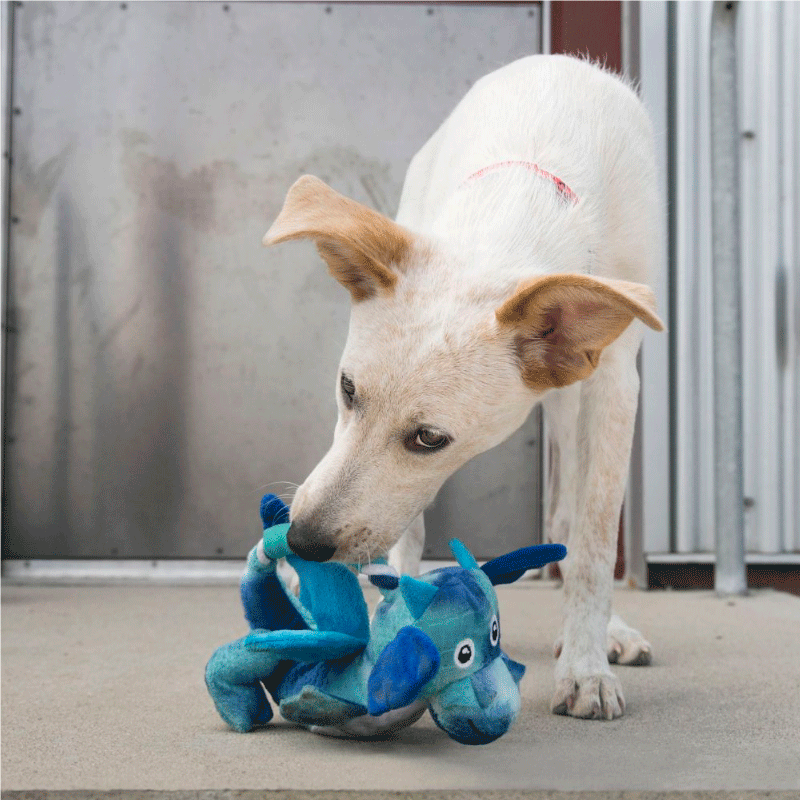 peluche para perro peluche para perro